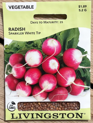 RADISH-SPARKLER WHITE TIP