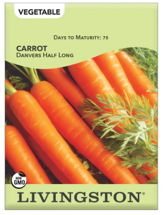 CARROT-DANVERS HALF LONG