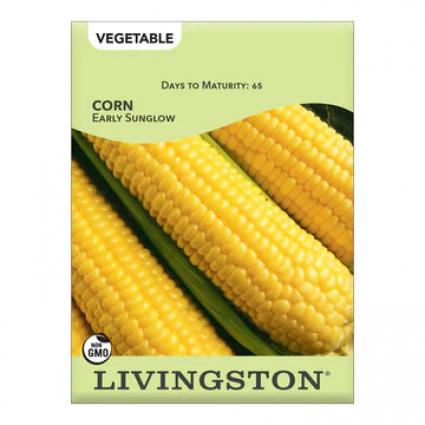 CORN-EARLY SUNGLOW (Y)