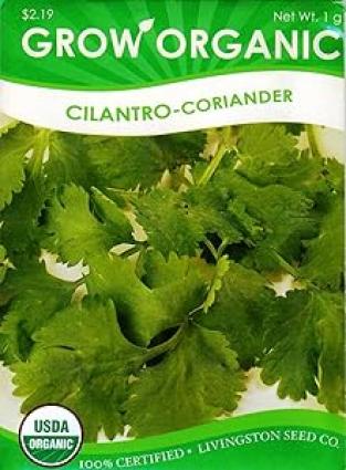 CILANTRO/CORIANDER