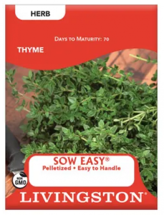 THYME (P)