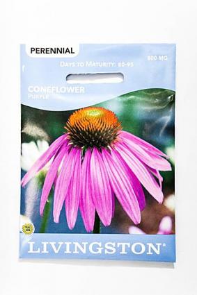 CONEFLOWER PURPLE (P)