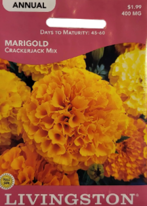 MARIGOLD-CRACKERJACK MIX (A)