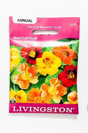 NASTURTIUM DWARF JEWEL MIX