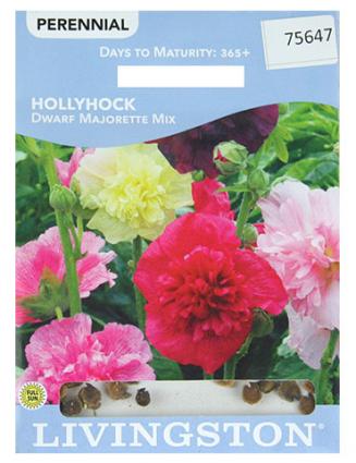 HOLLYHOCK DWARF