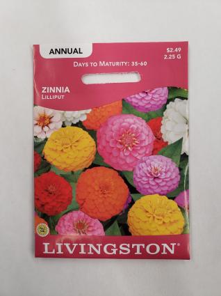 ZINNIA LILLIPUT