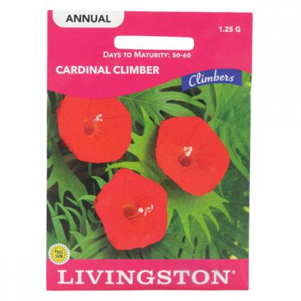 CARDINAL CLIMBER
