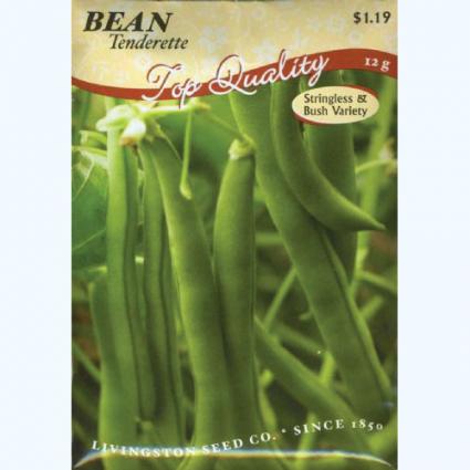BEAN TENDERETTE BUSH GREEN