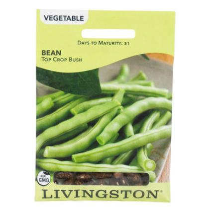 BEAN TOPCROP BUSH GREEN
