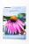 CONEFLOWER PURPLE (P)