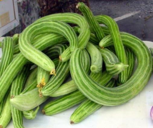ARMENIAN CUCUMBER