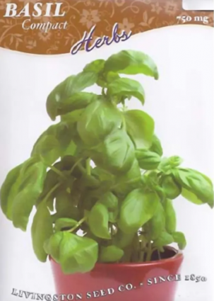 COMPACT BASIL