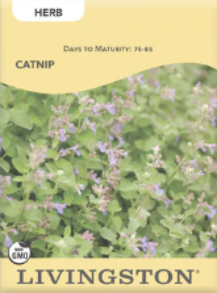 CATNIP