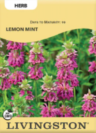 LEMON MINT