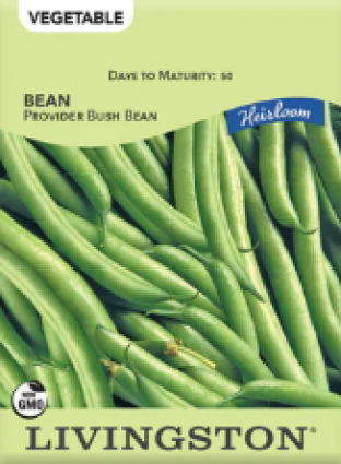 HEIRLOOM PROVIDER BUSH BEAN