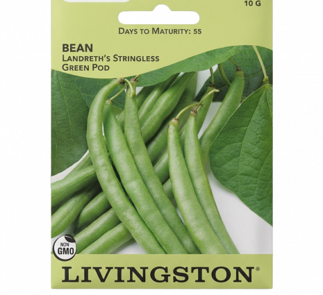 BEAN - LANDRETH'S STRINGLESS GRE