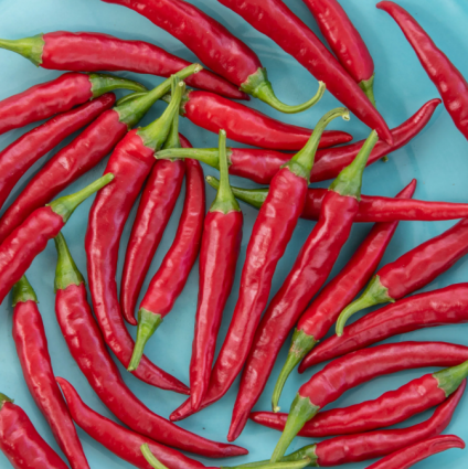 PEPPER - DRAGON CAYENNE F1