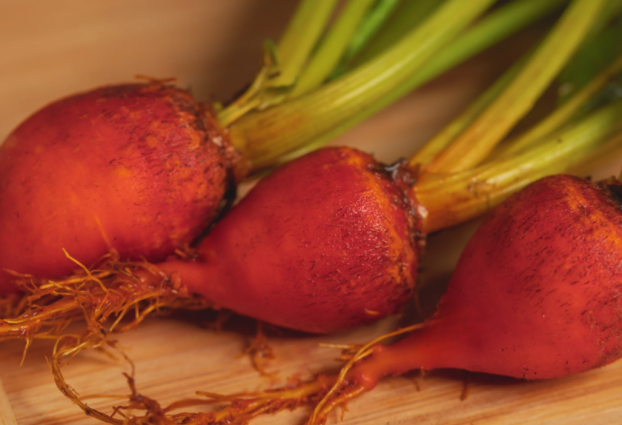 BEET - DETROIT GOLDEN