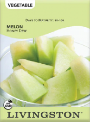 MELON HONEY DEW
