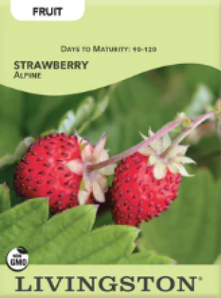 STRAWBERRY ALPINE