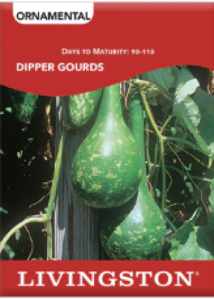 SQUASH DIPPER GOURDS