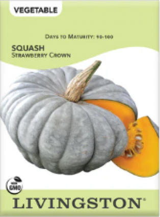 SQUASH STRAWBERRY CROWN