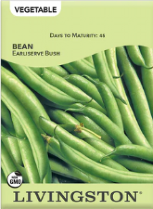 BEAN - EARLISERVE BUSH GREEN4OZ