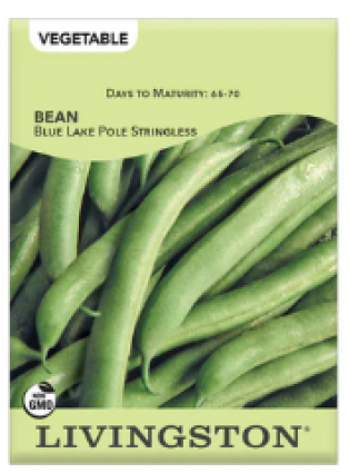 4OZ BEAN-POLE GREEN-BLU LAK STR