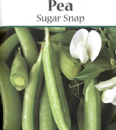 PEA - SUGAR SNAP (EP) 4OZ