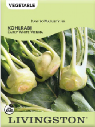 KOHLRAB - EARLY WHITE VIENNA