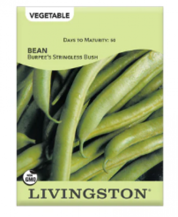 BEAN-BUSH GREEN-BURPEE'S STR