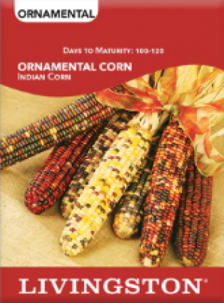 ORNAMENTAL INDIAN CORN