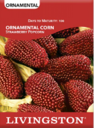 POPCORN - STRAWBERRY