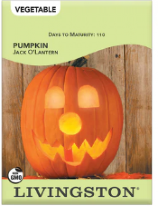 PUMPKIN - JACK O'LANTERN