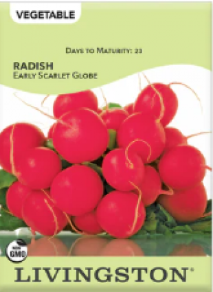 RADISH - EARLY SCARLET GLOBE