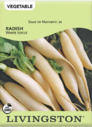 RADISH - WHITE ICICLE
