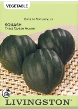 SQUASH - MAMTH TABLE QUEEN/ROYAL