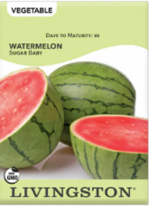 WATERMELON - SUGAR BABY