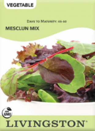 LETTUCE - MESCLUN