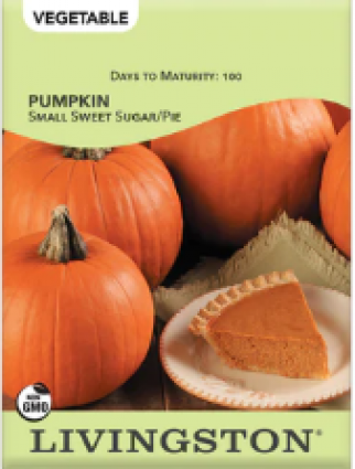 PUMPKIN -SMALL SWEET/SUGAR PI