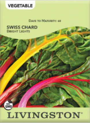 SWISS CHARD - BRIGHT LIGHTS