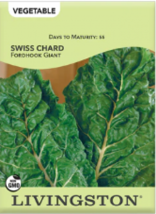 SWISS CHARD - FORDHOOK GIANT
