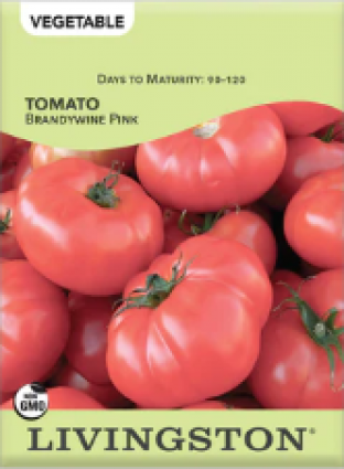 TOMATO - BRANDYWINE PINK