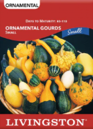 SQUASH - ORNAMENTAL GOURDS
