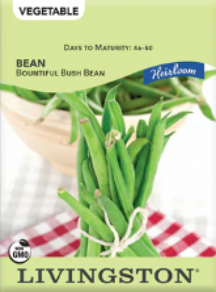 BEAN-HEIRLOOM-BOUNTIFUL BUSH