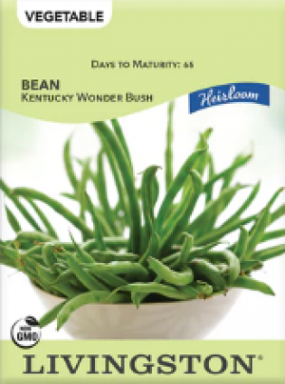 BEAN-HEIRLOOM-KY WONDER BUSH
