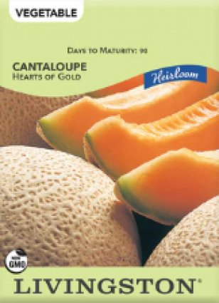 CANTALOUPE-HEIRLOOM-HEARTS