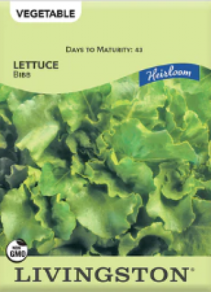 LETTUCE-HEIRLOOM-BIBB