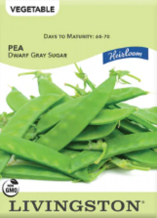 PEA-HEIRLOOM-DWARF GRAY SU