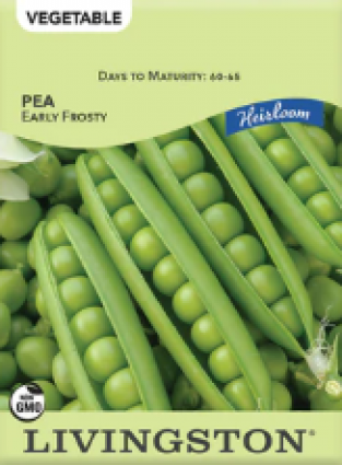 PEA-HEIRLOOM-EARLY FROSTY